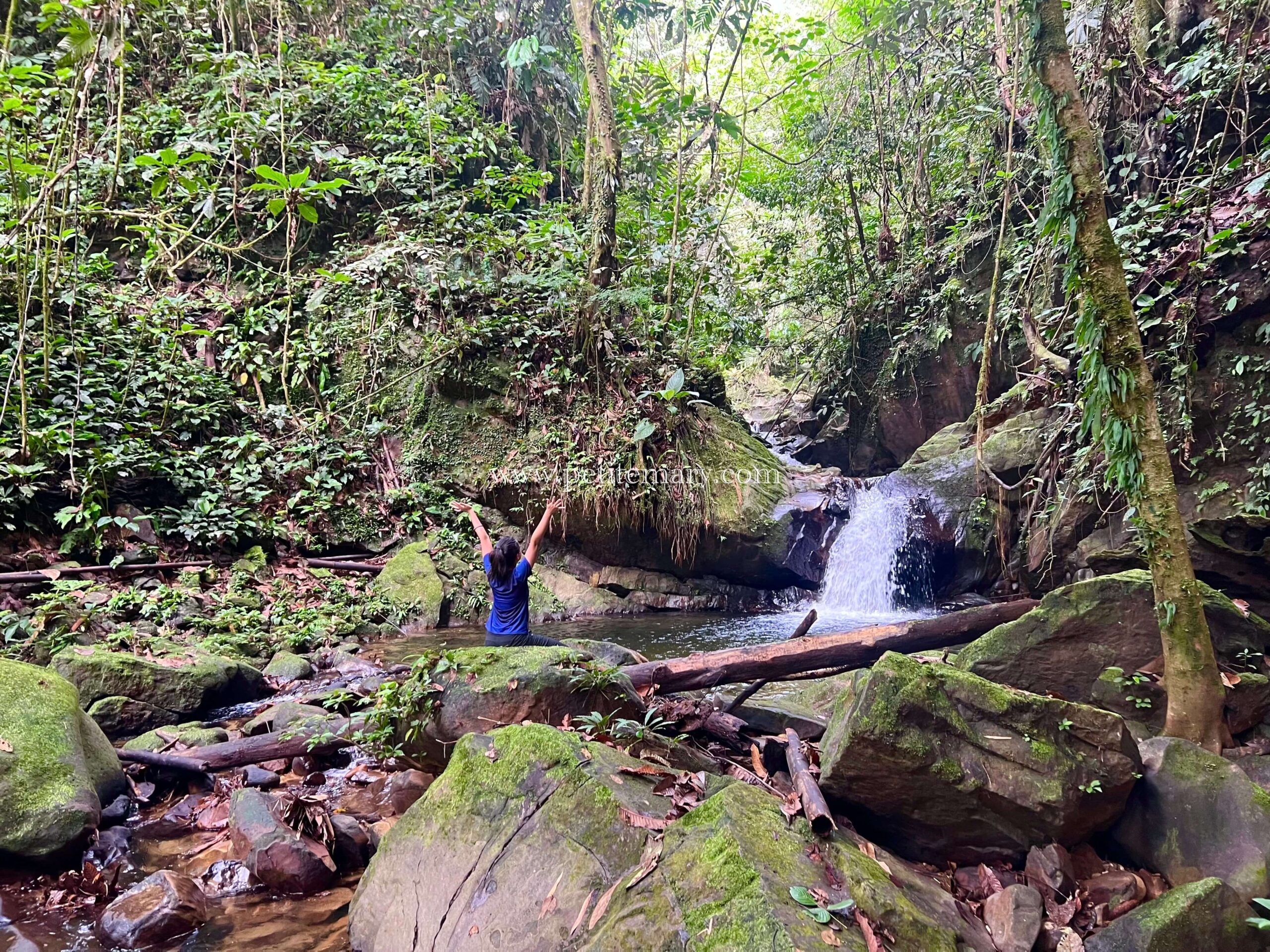 Longhouse in Sarawak 8
