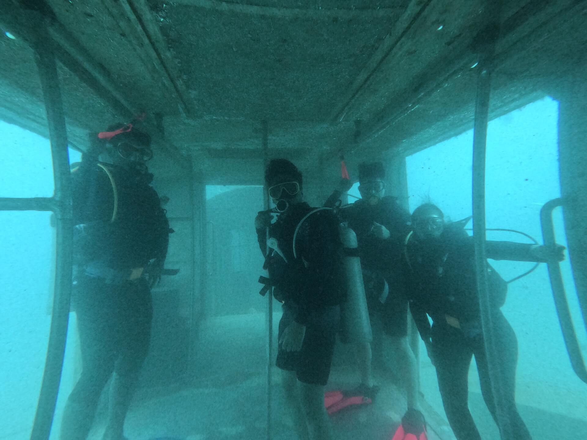 Diving in Tioman 10