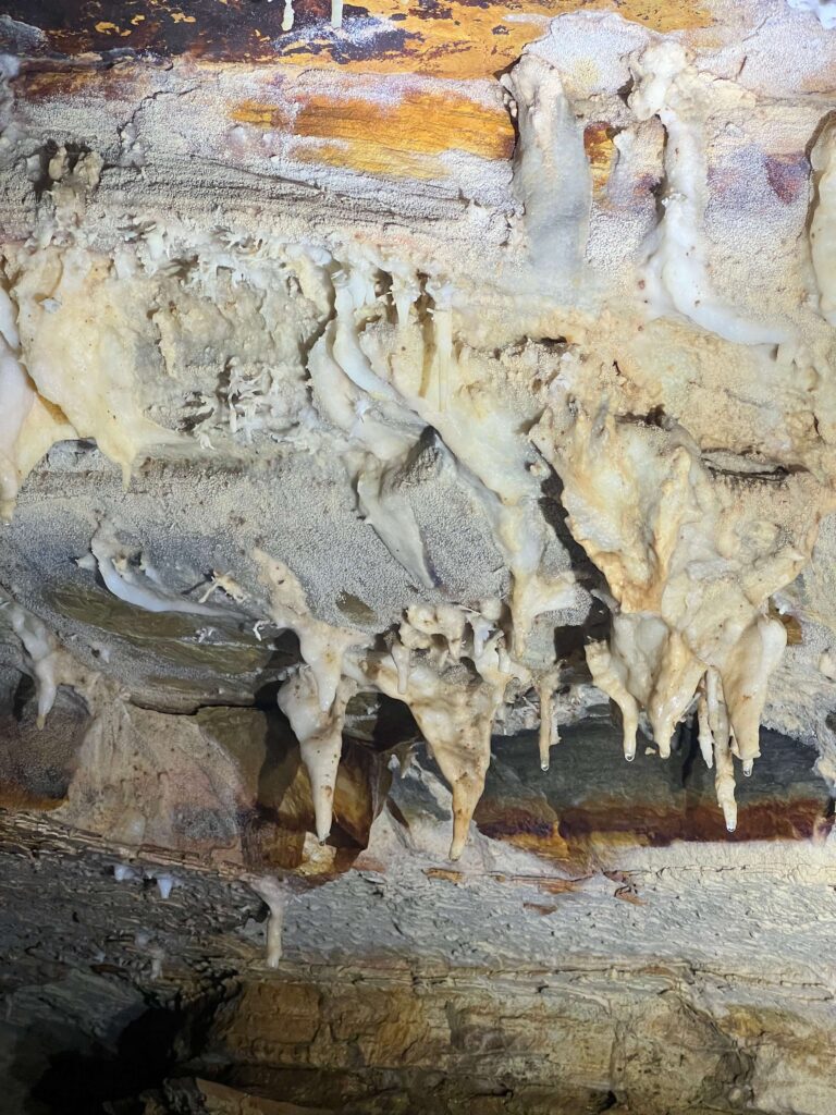 Day Tour Taman Negara 14-1