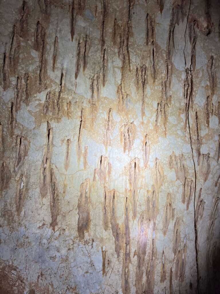 Day Tour Taman Negara 14-2