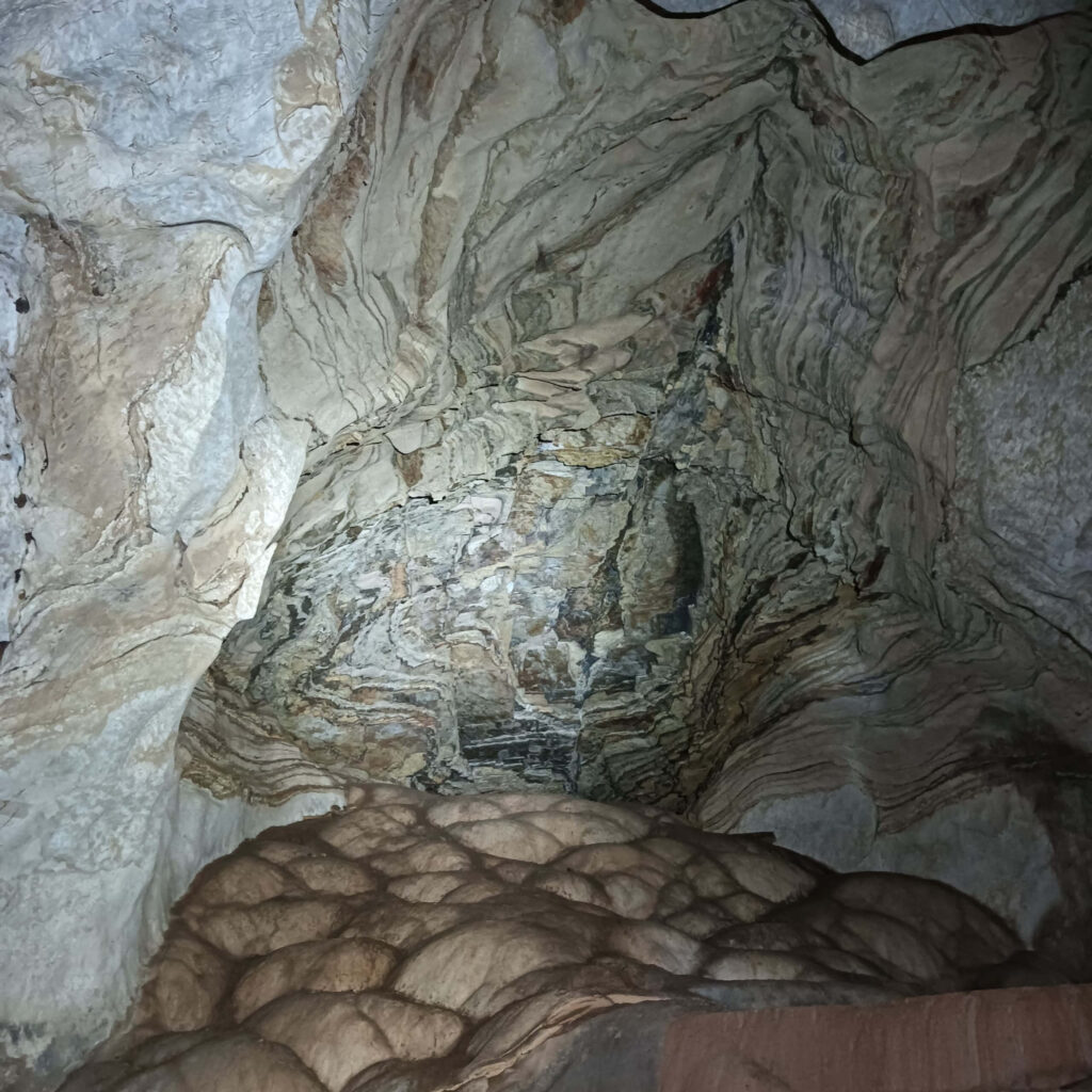 Day Tour Taman Negara 14-4