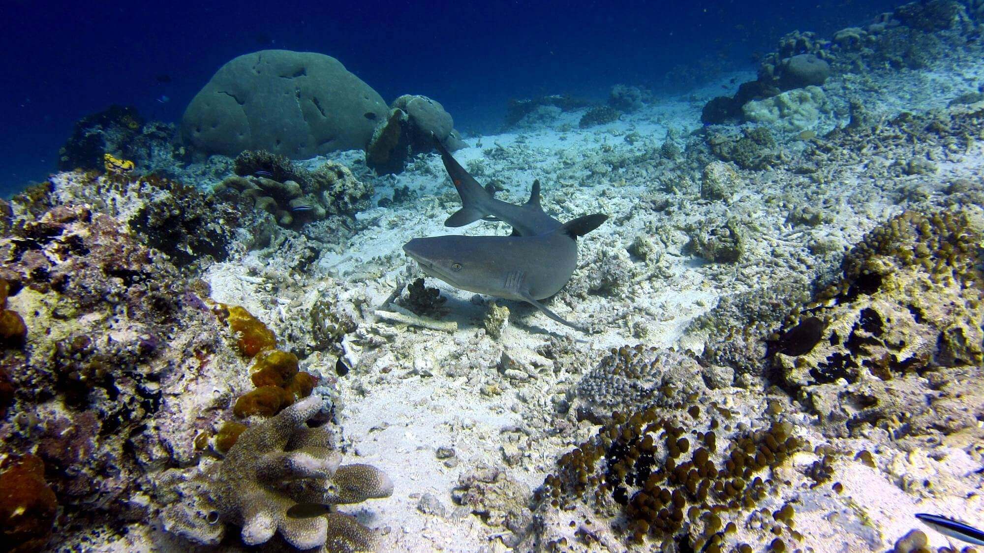 best beaches in borneo 7